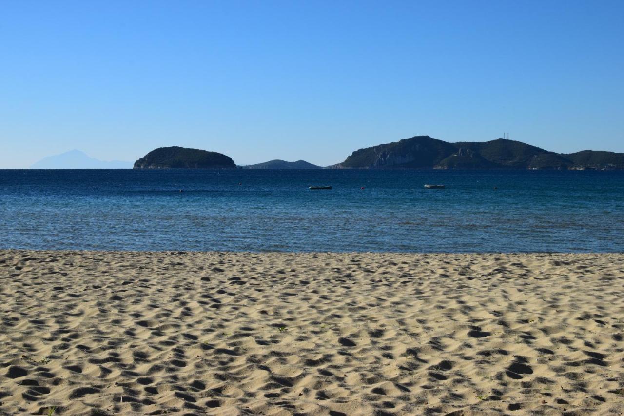 Feel The Sea